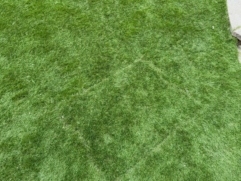 Detail of dense green artificial grass with a square access cover disguised under matching turf, showing a seamless finish at the lawn edge.